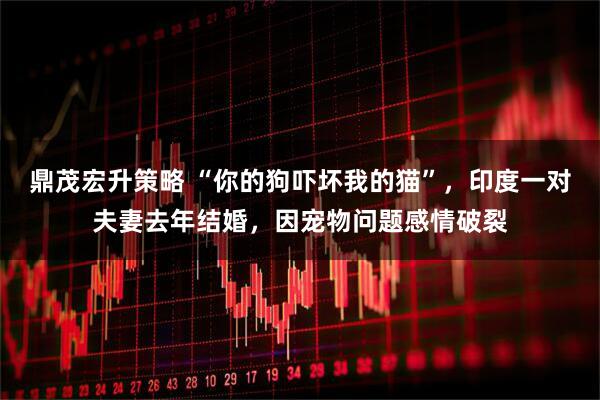 鼎茂宏升策略 “你的狗吓坏我的猫”，印度一对夫妻去年结婚，因宠物问题感情破裂