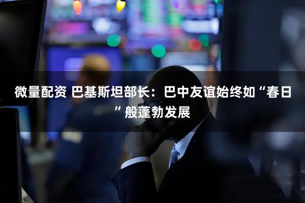 微量配资 巴基斯坦部长：巴中友谊始终如“春日”般蓬勃发展