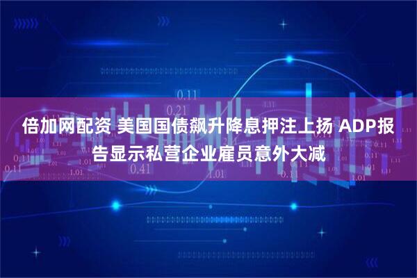 倍加网配资 美国国债飙升降息押注上扬 ADP报告显示私营企业雇员意外大减